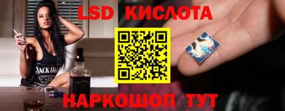 крисы Новокубанск