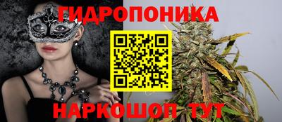 каннабис Новодвинск