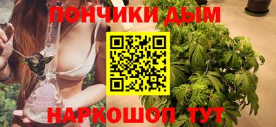 крисы Новокубанск
