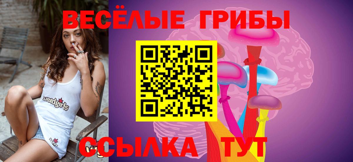 Галлюциногенные грибы MAGIC MUSHROOMS  Вход с VPN  Тобольск 