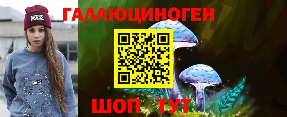 Галлюциногенные грибы Psilocybine cubensis Тобольск